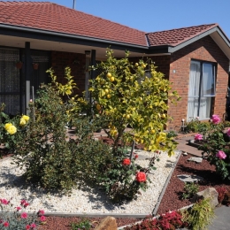 bittern-021-1024x680